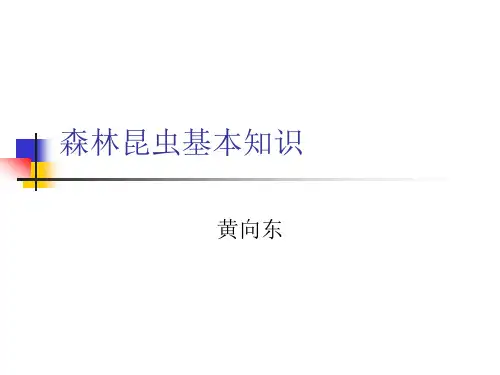 森林昆虫基本知识