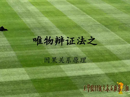 马克思主义原理  因果关系原理