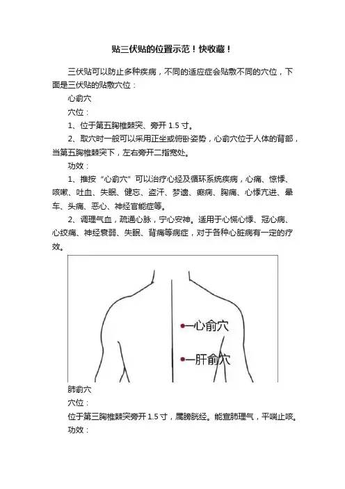 贴三伏贴的位置示范！快收藏！
