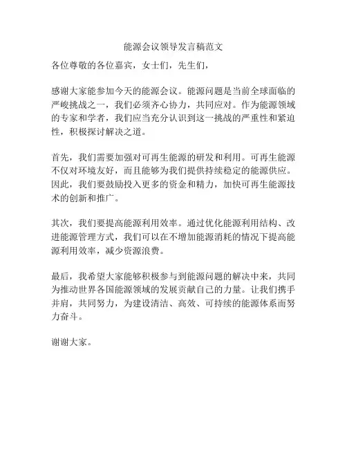 能源会议领导发言稿范文