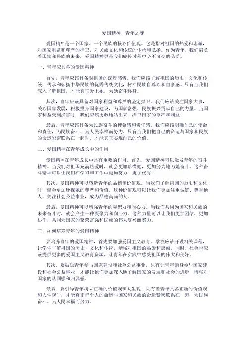 爱国精神,青年之魂