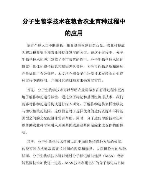 分子生物学技术在粮食农业育种过程中的应用