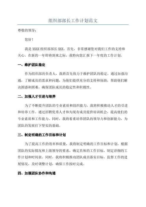组织部部长工作计划范文
