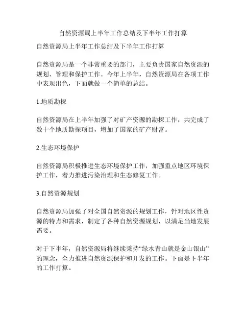 自然资源局上半年工作总结及下半年工作打算