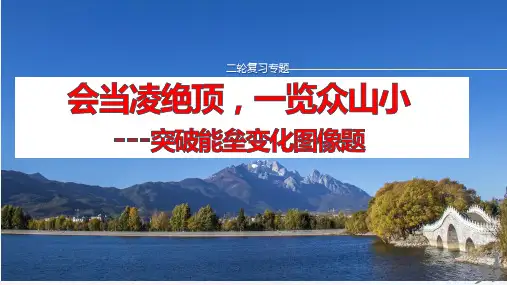 2024届高三化学二轮复习+突破能垒变化图像+课件