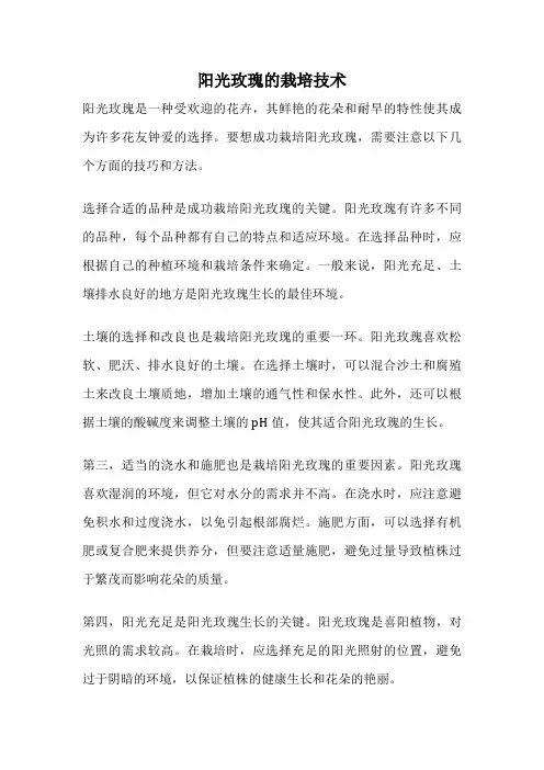 阳光玫瑰的栽培技术