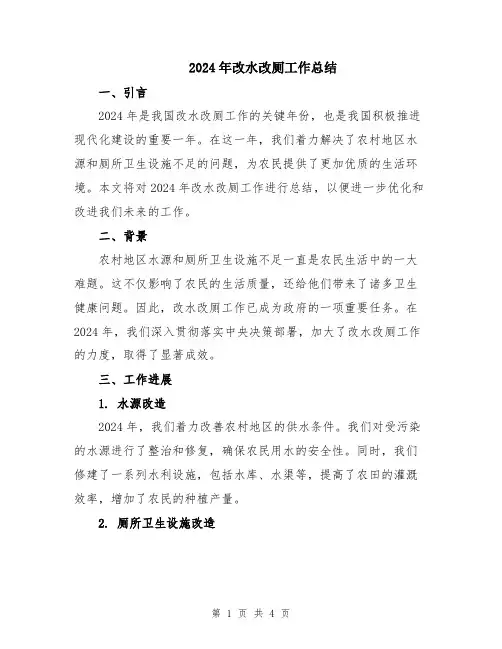 2024年改水改厕工作总结