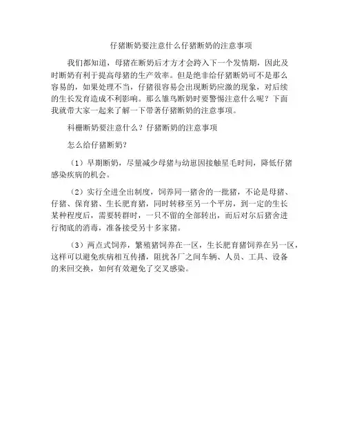 仔猪断奶要注意什么仔猪断奶的注意事项
