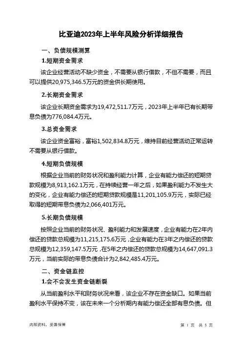 002594比亚迪2023年上半年财务风险分析详细报告