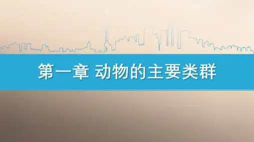 人教版八年级上册第一章第一节  腔肠动物和扁形动物课件(26张ppt)优秀课件