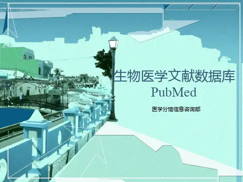 怎么使用PubMed