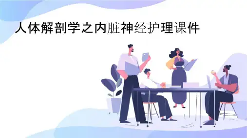 人体解剖学之内脏神经护理课件