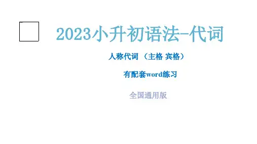 小升初英语语法-代词人称代词配套word习题全国通用版