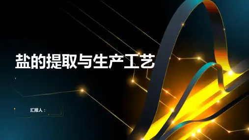 盐的提取与生产工艺