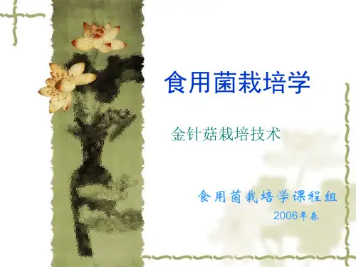 金针菇栽培技术
