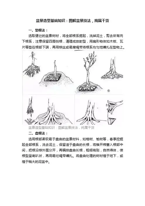 盆景造型基础知识：图解盆景技法，纯属干货