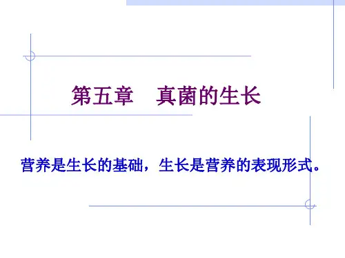 真菌的生长