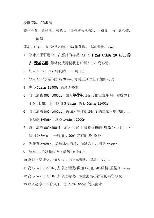 DNA提取步骤及注意点