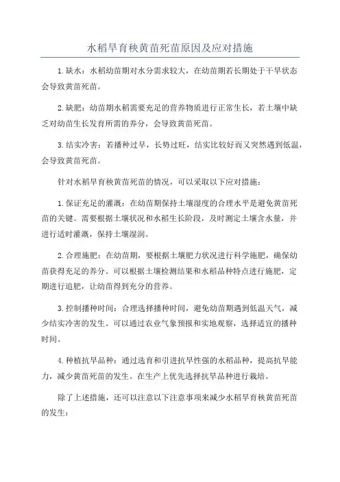 水稻旱育秧黄苗死苗原因及应对措施
