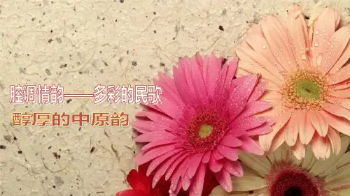 高一音乐醇厚的中原韵优秀课件