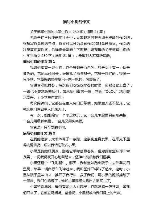 描写小狗的作文