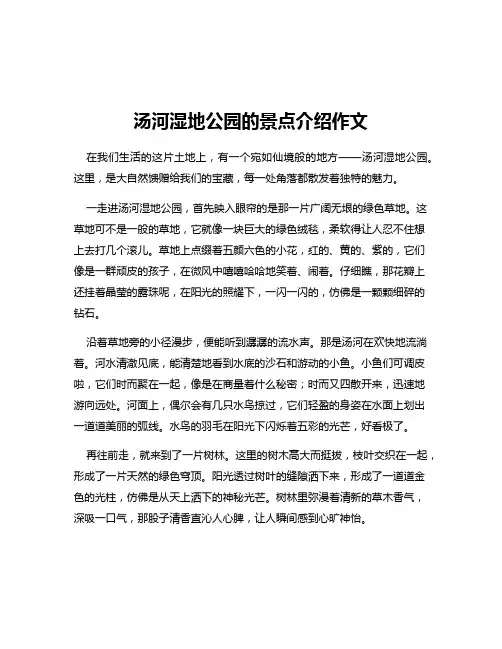 汤河湿地公园的景点介绍作文