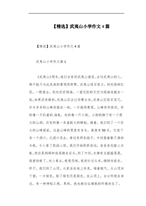 【精选】武夷山小学作文4篇