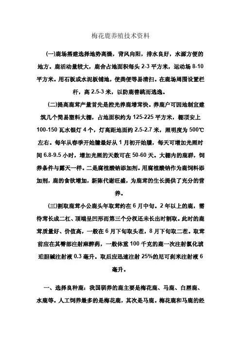 《梅花鹿养殖技术》(怎样养殖梅花鹿)
