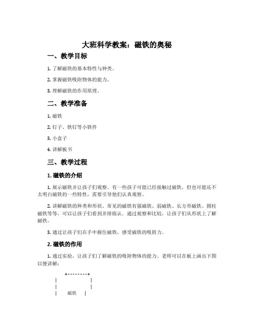 大班科学教案：磁铁的奥秘