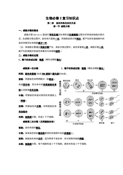 高中生物必修二知识点总结(精华版)