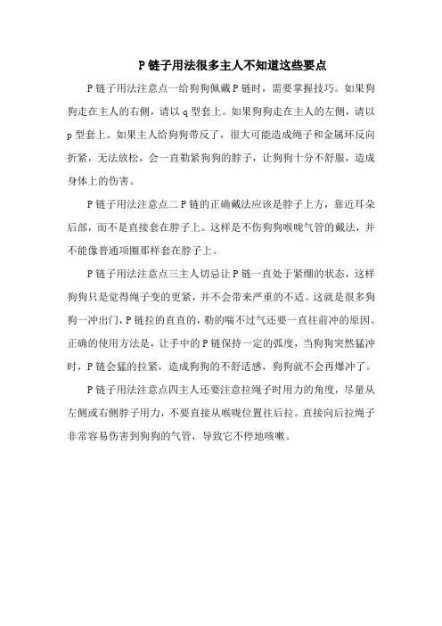 P链子用法很多主人不知道这些要点