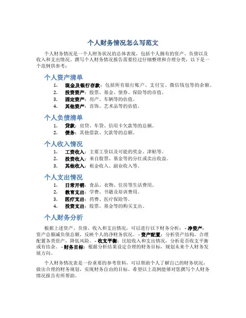 个人财务情况怎么写范文