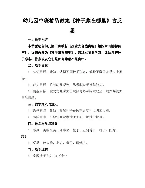 幼儿园中班精品教案《种子藏在哪里》含反思