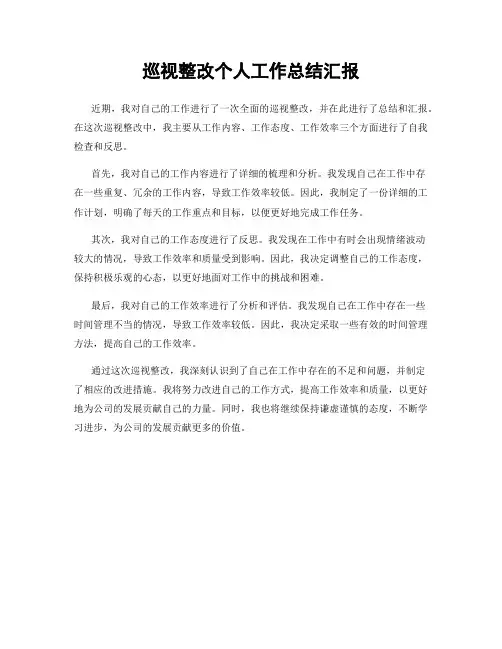 巡视整改个人工作总结汇报