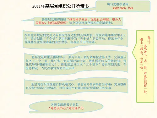 党员公开承诺表格填写说明