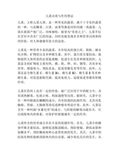 儿菜功效与作用禁忌