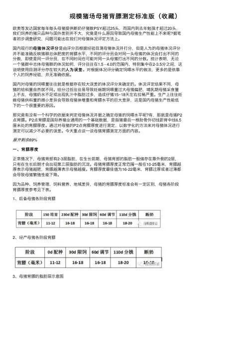 规模猪场母猪背膘测定标准版（收藏）
