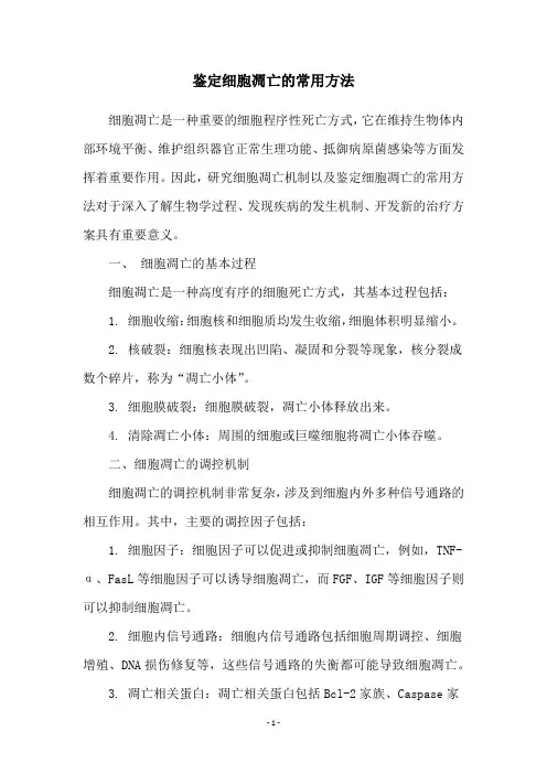 鉴定细胞凋亡的常用方法