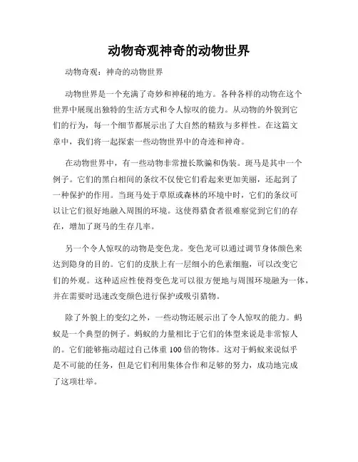 动物奇观神奇的动物世界