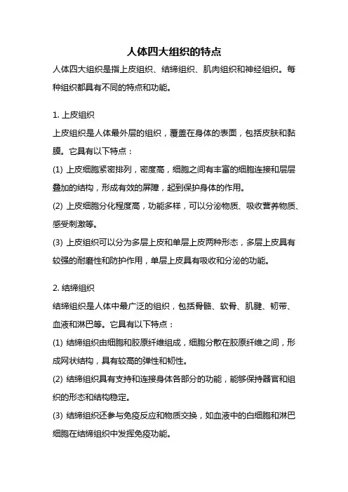人体四大组织的特点