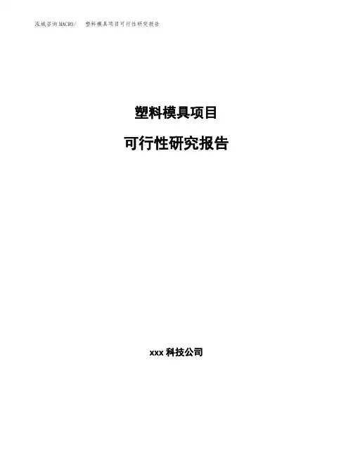 塑料模具项目可行性研究报告(参考模板范文)