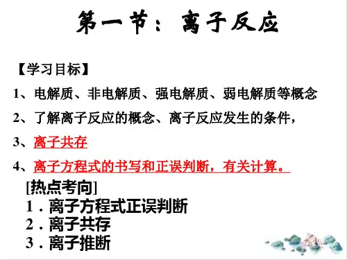 【高考】化学一轮复习离子反应ppt课件