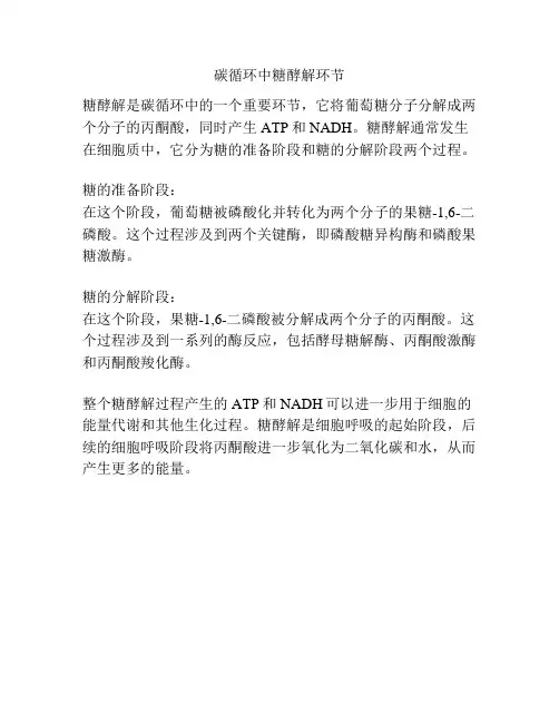 碳循环中糖酵解环节