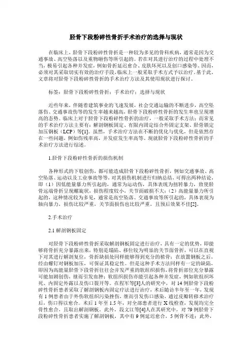 胫骨下段粉碎性骨折手术治疗的选择与现状