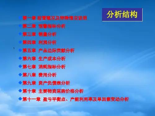 某集团公司财务分析报告模板