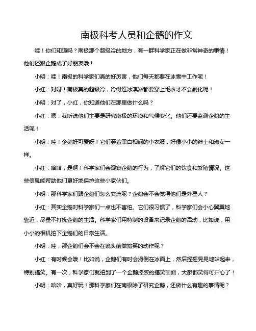 南极科考人员和企鹅的作文