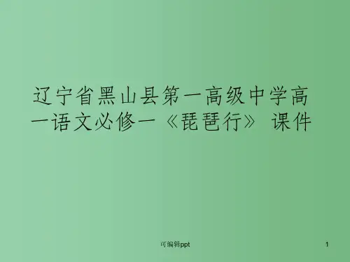 高中语文《琵琶行》 新人教版必修1
