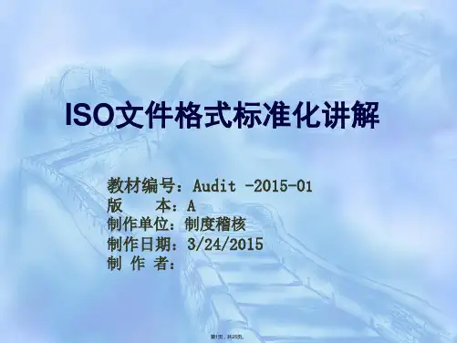 ISO文件格式标准化讲解