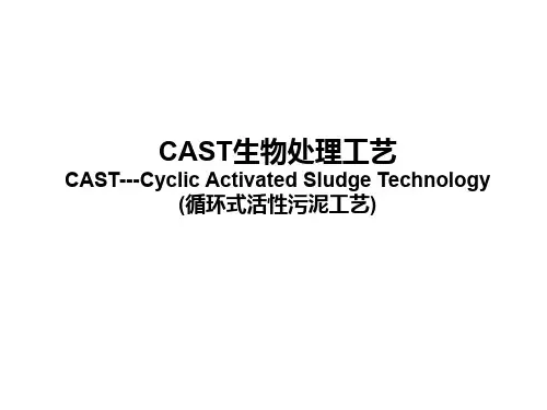 CAST工艺介绍