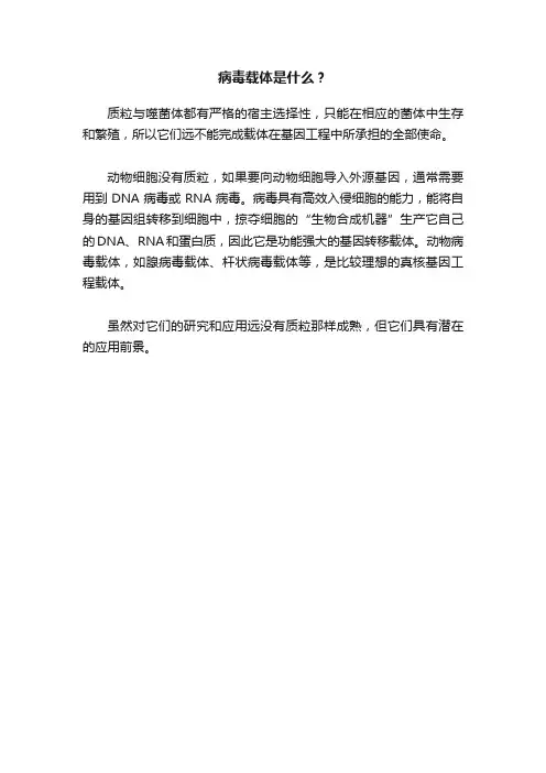 病毒载体是什么？